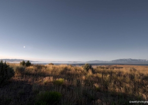 Antelope Island, Great Salt Lake, Utah