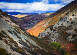 Emigration Canyon Light Show